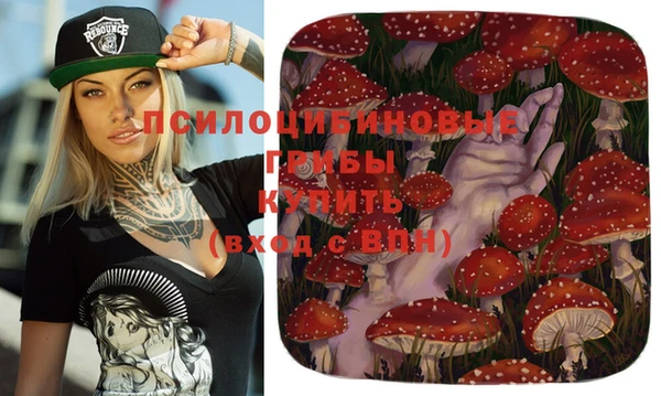 бутират Вязники