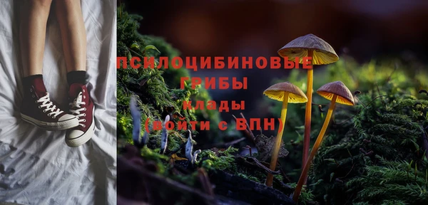 соль курить ск Вязьма
