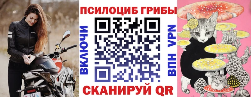 Галлюциногенные грибы мицелий  mega как войти  Нижневартовск 